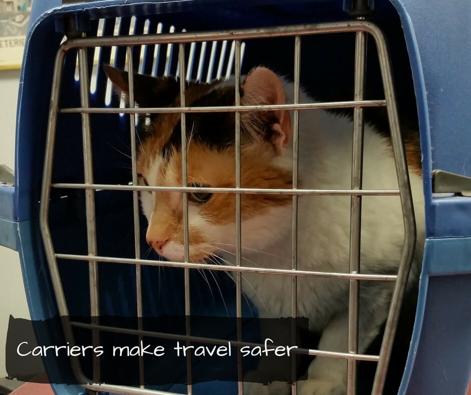 Carriers make travel safe