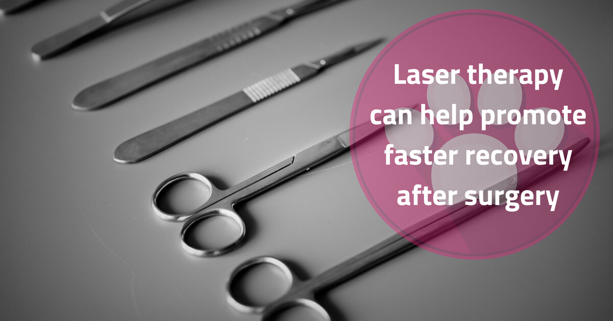 Laser therapy can hasten surgical recovery
