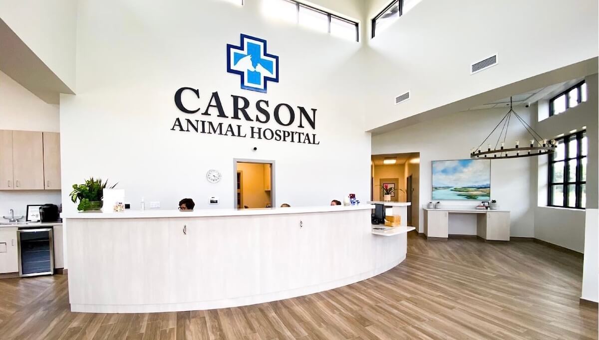 lafayette Lousiana Veterinarians Carson