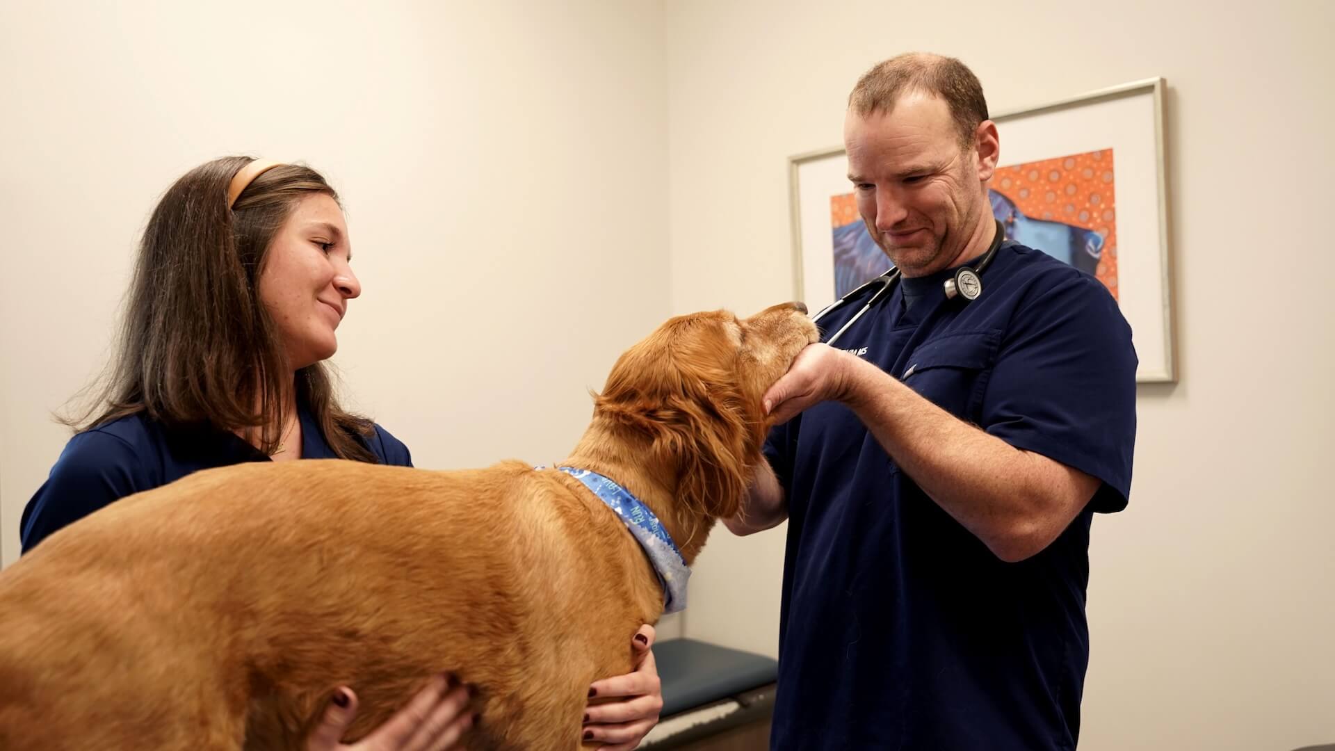 Lafayette Veterinary Hospital