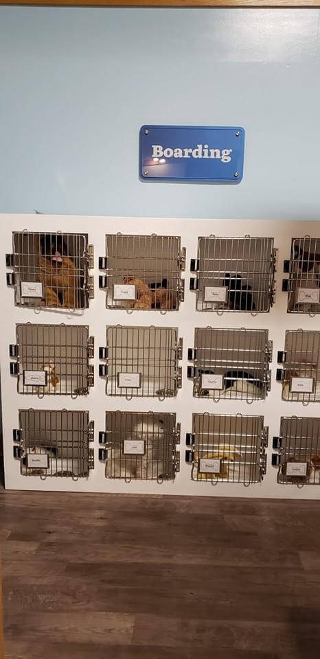 Children's Museum Exhibit 4