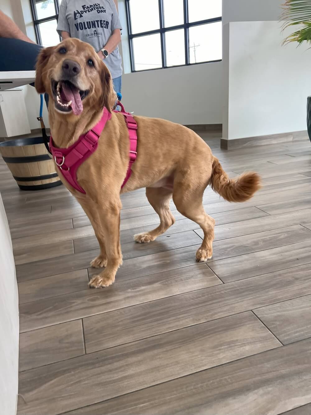 Family Adventure Day 21