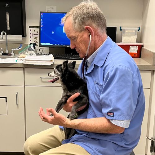 Dr. Carson Sr. with dog