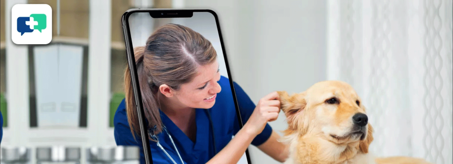 top rated animal hospitals near me