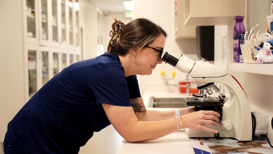 Lab services at Carson Animal Hospital