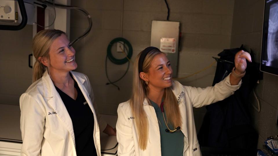 Digital Radiology at Carson Animal Hospital