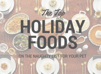Holiday Foods on the Naughty List