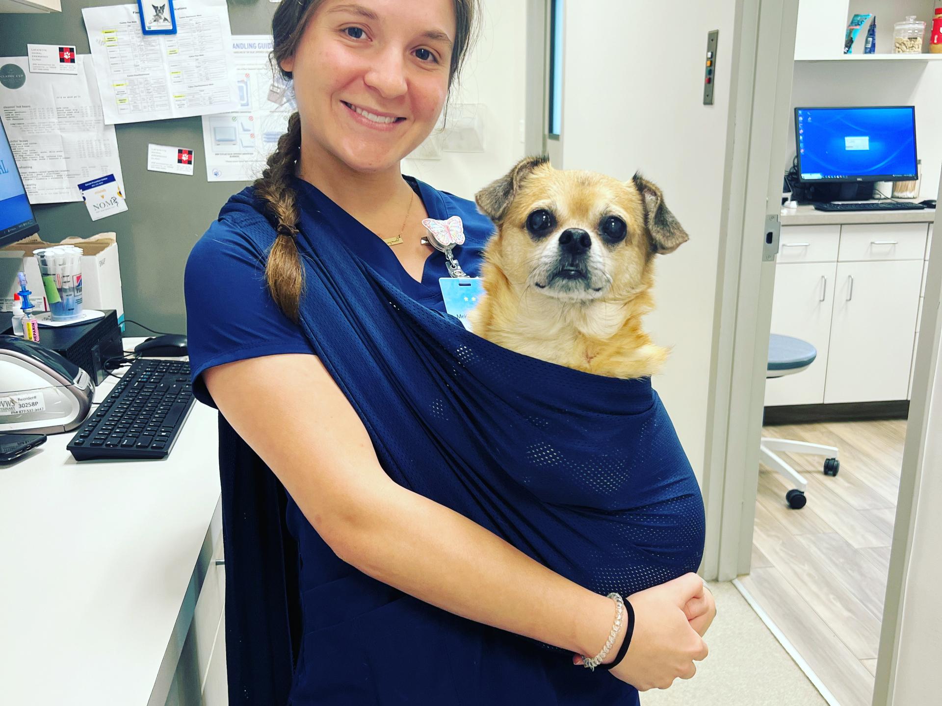 McKay Carson Animal Hospital