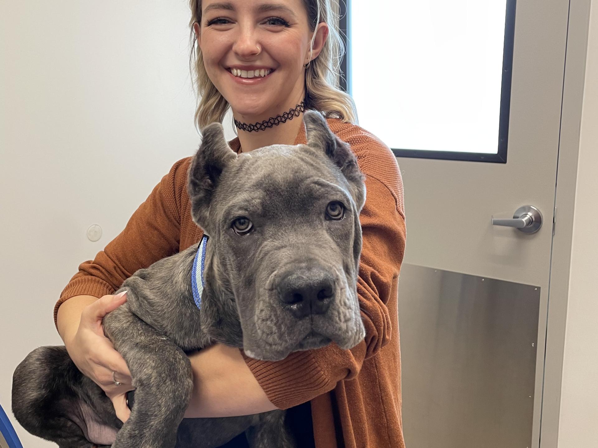 Lindsey Carson Animal Hospital