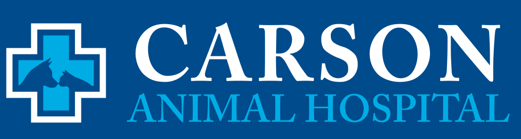 Carson Animal Hospital
